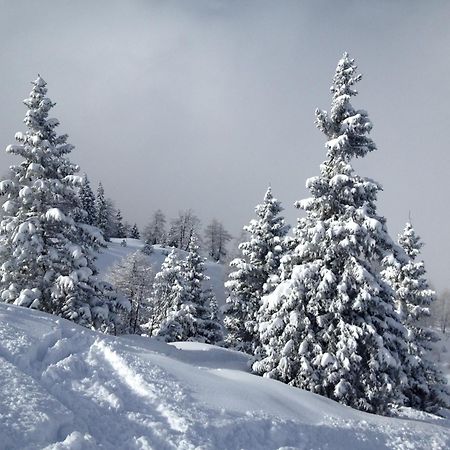 Hotel Lory - Molveno - Dolomiti Eksteriør billede